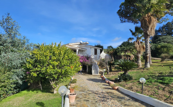 WhatsApp Image 2026-02-06 at 15.45.47