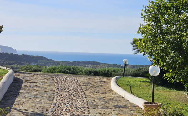 WhatsApp Image 2026-02-06 at 15.46.161