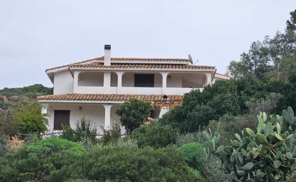 WhatsApp Image 2026-02-06 at 15.46.185