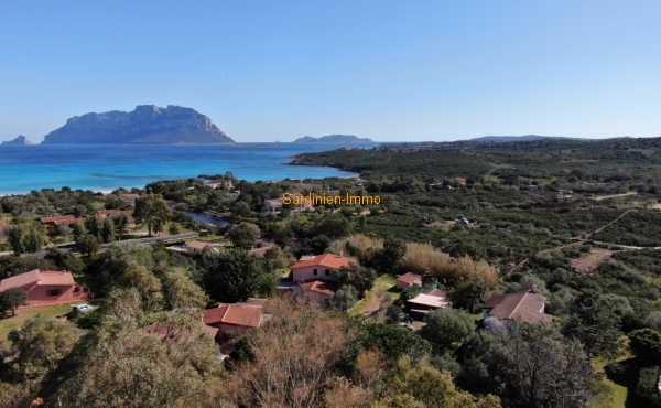 DJI_0234