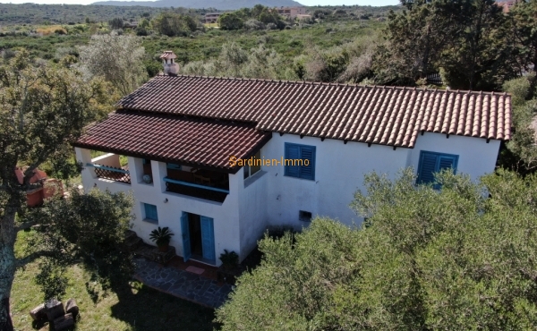 DJI_0241
